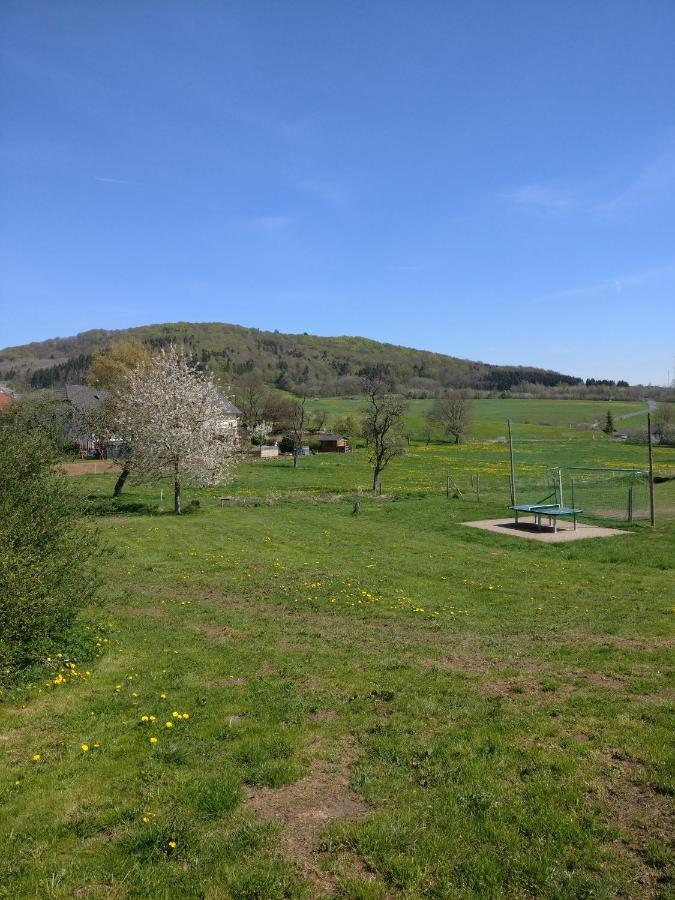 Ferienhaus Am Sauerbrunnen Daun Exterior foto